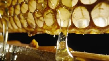 Thick golden honey flowing and spills over wooden frame with honeycombs. Sweet nectar, molasses or syrup pouring over honeycomb on isolated black background. Close up. Beekeeping, apiculture.