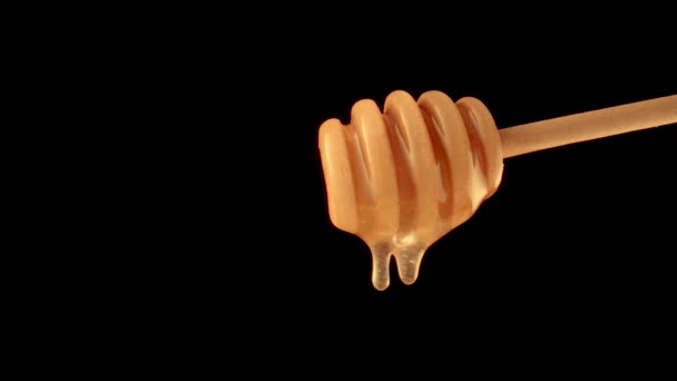 Honey dripping, pouring from a honey dipper on a black isolated background. Healthy organic thick honey dipping from a wooden honey spoon, close up. Golden liquid, sweet molasses, sugar syrup. — Stock Video