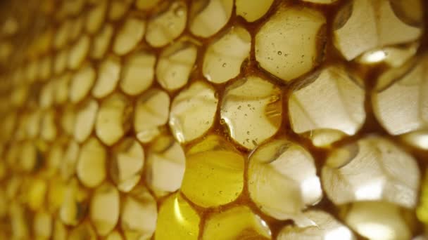 Stream of golden thick honey flowing down on the honeycombs. Natural organic honey, molasses, syrup or nectar fill the cells. Honey is spilled on honeycombs close up. Beekeeping product, healthy food. — Stockvideo