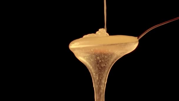 Honey dripping, pouring from spoon on a black isolated background. Thick viscous honey molasses flowing. Close up of golden honey liquid, sweet product of beekeeping. Sugar syrup is pouring. — Vídeos de Stock