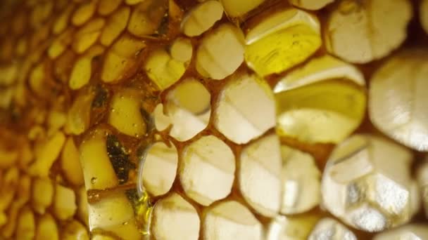 Stream of golden thick honey flowing down on the honeycombs. Natural organic honey, molasses, syrup or nectar fill the cells. Honey is spilled on honeycombs close up. Beekeeping product, healthy food. — 비디오