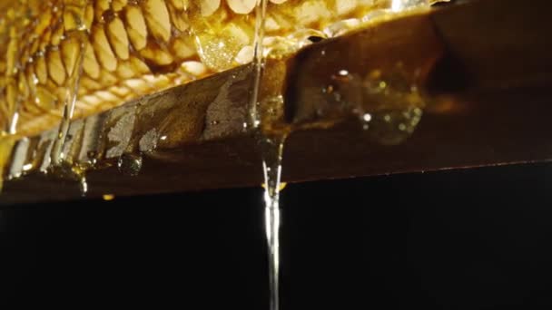 Thick golden honey flowing and spills over wooden frame with honeycombs. Sweet nectar, molasses or syrup pouring over honeycomb on isolated black background. Close up. Beekeeping, apiculture. — стоковое видео