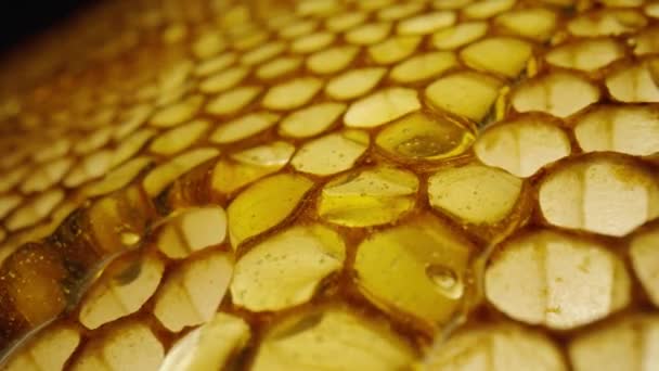 Stream of golden thick honey flowing down on the honeycombs. Natural organic honey, molasses, syrup or nectar fill the cells. Honey is spilled on honeycombs close up. Beekeeping product, healthy food. — Stock Video