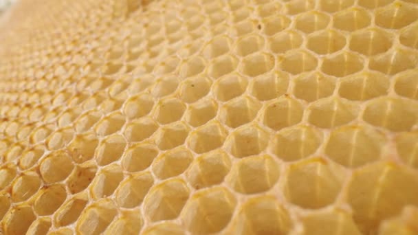 Camera slides over on empty wax honeycombs. Close up of honeycomb frame with hexagonal cells outdoors in an apiary. Bee farm. Concept of beekeeping, production of organic natural honey, agriculture. — Stok video