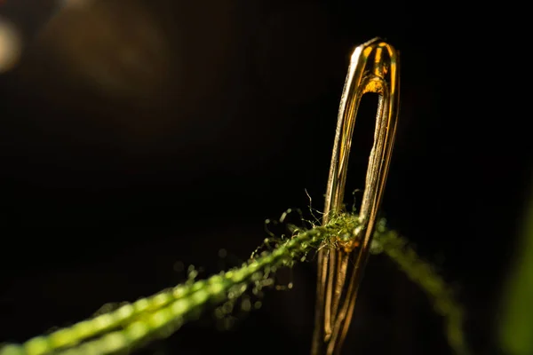 Makrobild eines Nadelöhrs mit einem Stück grünem Faden auf schwarzem Hintergrund. Stahlglänzende Schneidernadel mit Permeationsfaden in Nahaufnahme. Das Werkzeug zum Nähen, Sticken, Reparieren von Kleidung. — Stockfoto