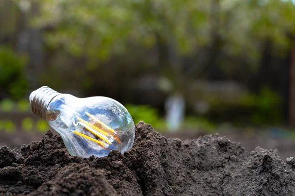 Glass lamps on soil outdoors, close up. Light bulbs on ground on background of nature. Energy of nature. Concept of renewable electricity from solar energy. Eco Friendly Energy. — Stock Photo, Image