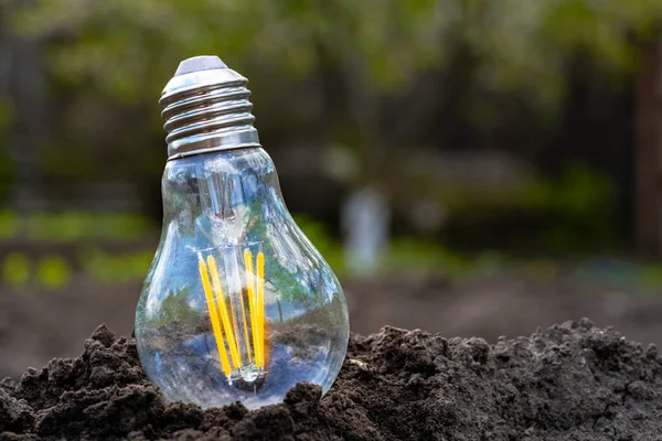 Glass lamps on soil outdoors, close up. Light bulbs on ground on background of nature. Energy of nature. Concept of renewable electricity from solar energy. Eco Friendly Energy. — стоковое фото