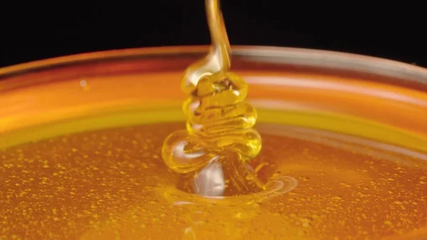 A trickle of thick golden honey flowing into a glass. Close up macro shot of honeyed molasses dripping on isolated black background. Sweet dessert. Background of organic and curative food. – stockfoto