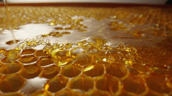 En strøm av gyllen, tykk honning som flyter ned på honningtavlene. Naturlig økologisk honning, melasse, sirup eller nektar fyller cellene. Honning søles på bikaker på nært hold. Biavlsprodukt, sunn mat. – stockfoto