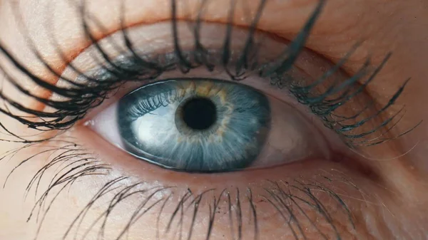 Opening Blinking Female Eye Blue Iris Long Lashes Painted Mascara — Stock Photo, Image