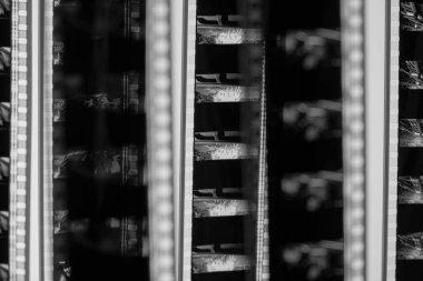 Kamera negatif film. Seçici olarak film deliklerine odaklan. Görüntülü siyah beyaz film. Çekim süreci için endüstri sembolü, fotokimyasal laboratuvar süreci ve film arşivi teknolojisi