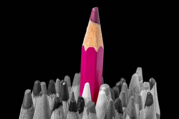 Set of pencils in black and white color on black background. Pink pencil stand out from set. Close up of sharpened multicolored pencils. Concept of Standing out from the crowd, leadership