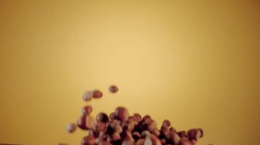 Sarı stüdyo arka planında kurutulmuş çekirdek fındığı patlaması. Kahverengi fındık sıçrıyor ve etrafa saçılıyor. Tatlı yapmak için gerekli malzemeler. Hazel tohumları dökülüyor. Kuru fındık, sağlıklı fındık, besleyici atıştırmalık.