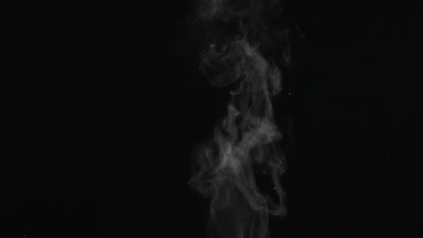 水蒸气白色的蒸汽在黑色的背景上上升和漂浮在空气中 在密闭的空气中喷出微量的热水 浓雾密布的云团旋转着 — 图库视频影像