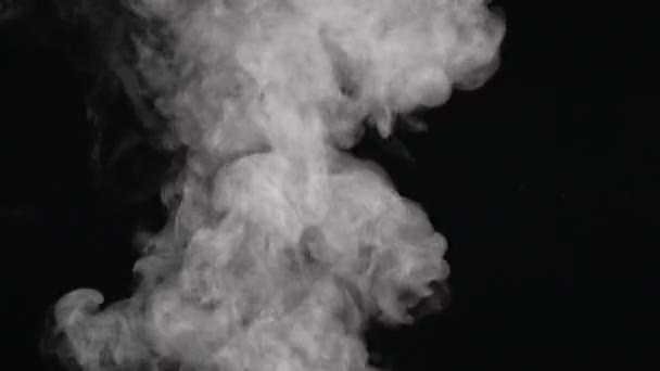 水蒸气白色的蒸汽在黑色的背景上上升和漂浮在空气中 在密闭的空气中喷出微量的热水 浓雾密布的云团旋转着 — 图库视频影像