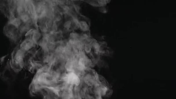 白色天然上升的蒸汽从食物或热饮料隔离在黑色背景 密闭的湿气颗粒 雾气飞扬 飘浮在空中 可用于任何有热点的项目 — 图库视频影像
