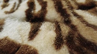 Benekli vahşi hayvan kürkünün dokusu. Tüylü beyaz kahverengi kürk, yumuşak sıcak kürk manto, yapay kürklü kumaştan giysiler. Tüylü tüylü kumaş. Moda endüstrisi tekstili. Çok yakın çekim.