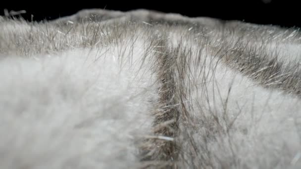 黒を基調とした灰色の毛 ふわふわのファーコート 暖かいシューズ素材で作られたアウター フリースの毛皮の生地 人工毛材料で作られたブランケット カメラは動物の毛を通って移動します — ストック動画