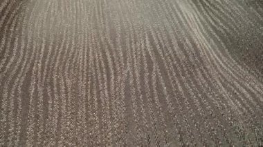 Parlak gri kumaşın detaylı kumaş dokusu, makro yakın görüntüde doli çekimle birlikte akıyor. Yoğun desenli malzeme. Kumaş, tekstil malzemesi. Tekstil soyut arka planı. Kıyafet ve moda endüstrisi