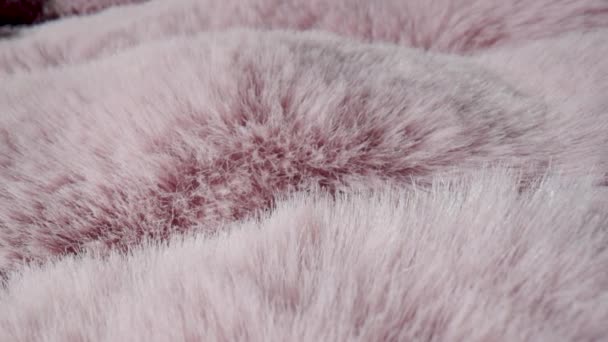 柔软蓬松的粉红色毛皮织物的结构 毛茸茸的皮毛毛绒绒假衣毛绒绒毛毯摄像机沿着毛皮的毛移动 纺织品毛茸茸的纤维紧密相连 时装业纺织品 — 图库视频影像