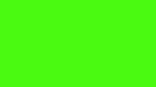 Animacja Migającego Ekranu Wypełnionego Kolorowymi Kolorami Niebieski Zielony Żółty Fioletowy — Wideo stockowe