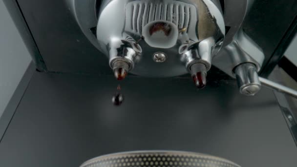 Espresso Makinesi Taze Kahve Yapıyor Kahve Makinesinden Fincana Kahve Dökülüyor — Stok video