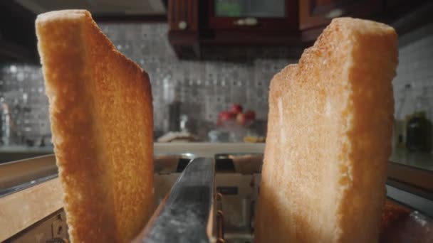 Geroosterd Brood Toast Met Een Bruine Knapperige Korst Blik Uit — Stockvideo