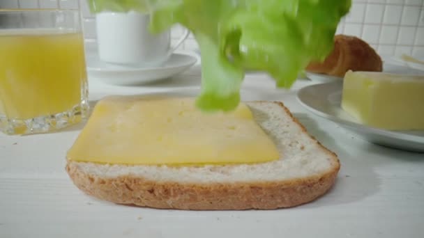 Pezzo Formaggio Insalata Fresca Verde Fetta Rossa Pomodoro Che Cade — Video Stock