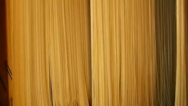 Producción Pasta Una Línea Producción Moderna Producción Macarrones Pasta Espaguetis — Vídeo de stock
