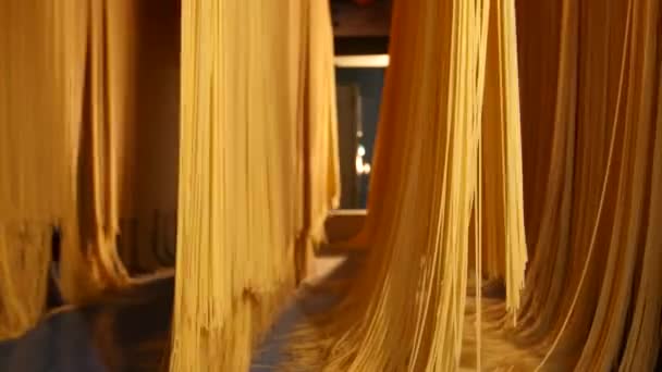 現代の生産ラインでパスタの生産 マカロニ工場とパスタ生産 生スパゲティパスタ工場では スイング 乾燥に掛け 長いスパゲティが干される 食品の背景 — ストック動画