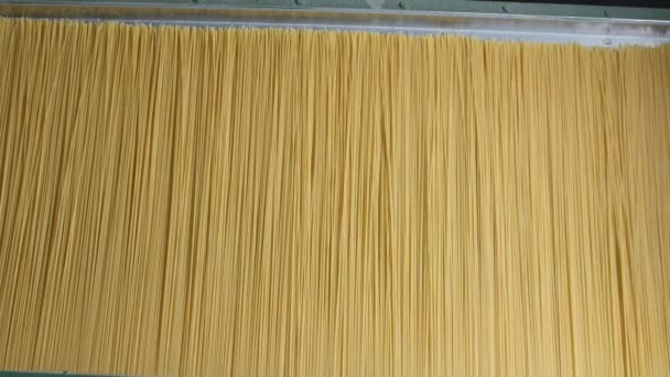 Kurutulmuş Spagettiyi Üretim Hattında Kesme Işlemi Sanayi Fabrikasında Makarna Üretme — Stok video