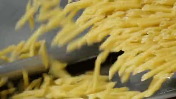 Fábrica Macarrão Ciclo Produção Massas Pasta Está Derramando Rolando Fluxo — Vídeo de Stock