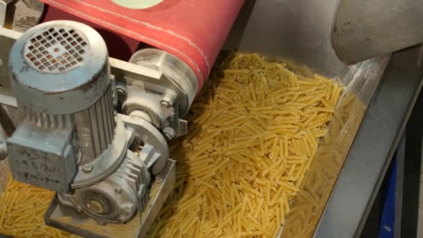 マカロニ工場 パスタを作る生産サイクル パスタが注ぎ 速い流れで転がっている Vermicelliの生産のための産業ライン 生産設備 モーター 食品の背景 — ストック動画