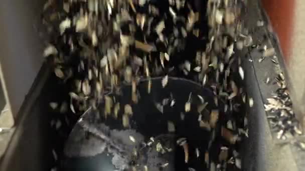 Fluxo Grãos Girassol Descascados Derramamento Casca Recipiente Com Trado Rotativo — Vídeo de Stock