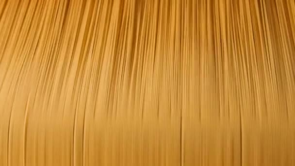 Pasta Fabriek Macaroni Productie Pastaproductie Van Meelproducten Verplaatsing Van Spaghetti — Stockvideo