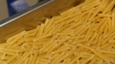 Makarna fabrikası. Makarna yapma döngüsü. Makarna yavaş çekimde akıp gidiyor. Vermicelli üretimi için sanayi hattı. Üretim ekipmanları. Gıda arkaplanı
