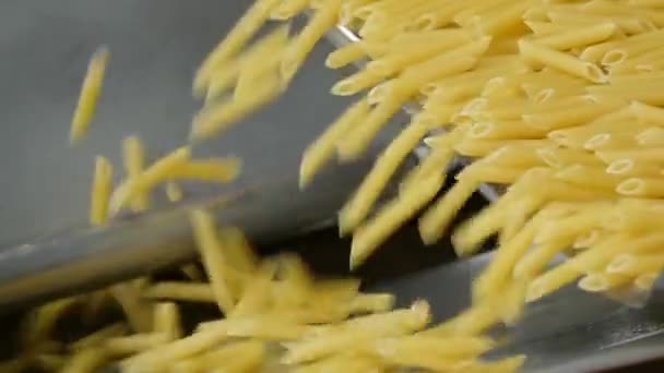 Fábrica Macarrão Ciclo Produção Massas Pasta Está Derramando Rolando Fluxo — Vídeo de Stock