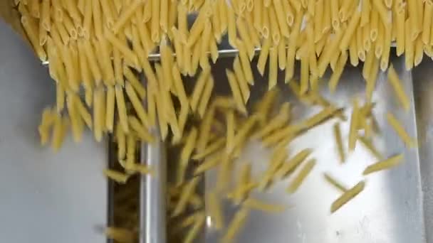 Makaronifabrik Produktionscykel För Pasta Pasta Häller Och Rullar Ström Slow — Stockvideo