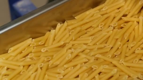 Macaroni Factory Production Cycle Making Pasta Pasta Pouring Rolling Stream — Stockvideo