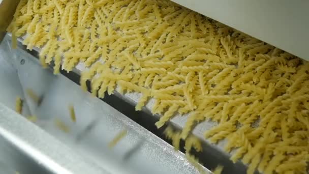 パスタ工場とパスタ生産段階 現代の食品製造工場の機械ユニットからこぼれるドライマカロニの閉鎖 スパイラルマカロニ生産のためのコンベアライン 仕事中のパスタ工場 — ストック動画