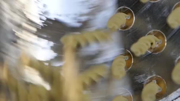 Professional Production Spiral Pasta Industrial Line Dough Coming Out Extruder — Stock Video