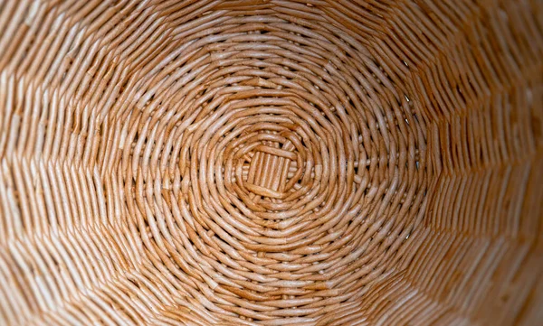 View Bottom Basket Woven Twisted Paper Tubes Textured Wicker Surface — Stockfoto