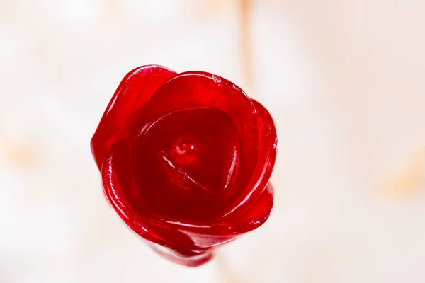 Top View Lollipop Form Flower Red Rose Bud White Background — Stock Photo, Image