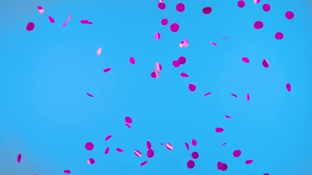Круглий Рожевий Конфетті Плаває Повітрі Синьому Фоні Ключа Хроми Екрана — стокове відео