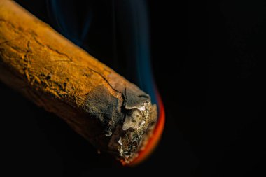 Smoking cuban cigar with blue smoke on an isolated black background. A Havana cigar burns and emits smoke in a dark bar. A rolled cigarette made from tobacco leaves. Macro shot of burning cigar