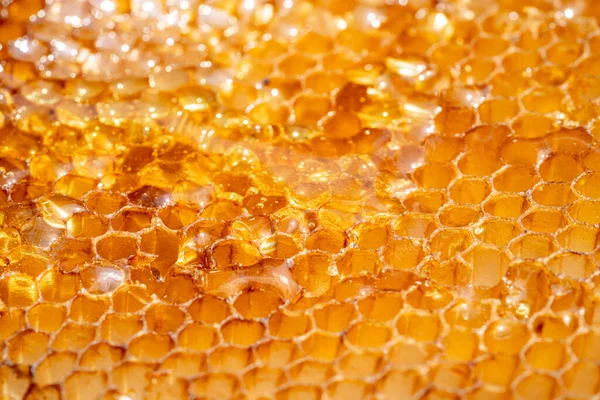Drops Thick Golden Honey Flowing Frame Honeycombs Honey Pouring Dripping — Photo