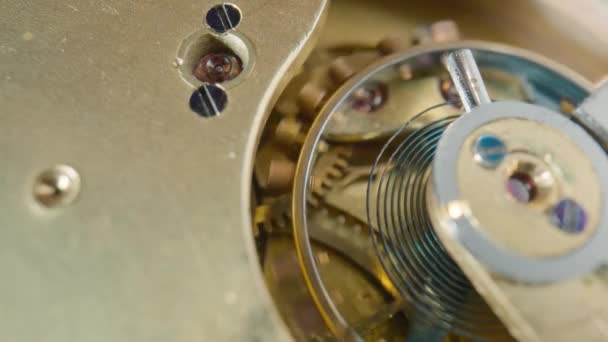 Moving Gold Gears Working Pocket Watch Mechanism Working Clock Mechanism — Vídeos de Stock