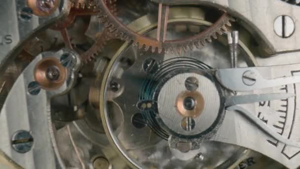 Moving Gold Gears Working Pocket Watch Mechanism Working Clock Mechanism — Vídeo de stock