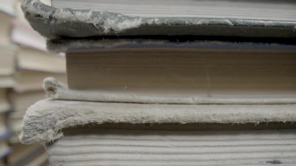 Macro Stack Old Books Gray Shabby Covers Yellowed Pages Heap — Vídeo de Stock