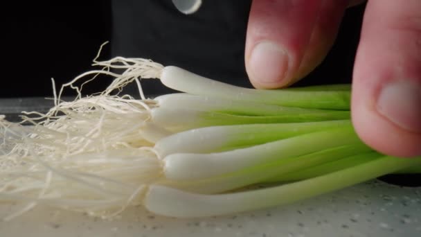 Male Hands Sharp Knife Cutting Green Onion Heads Roots Stems — Stok video